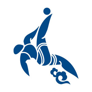 Sport pictogram Da Nang 2016