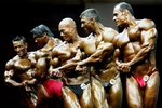  Doha 2006  | Bodybuilding