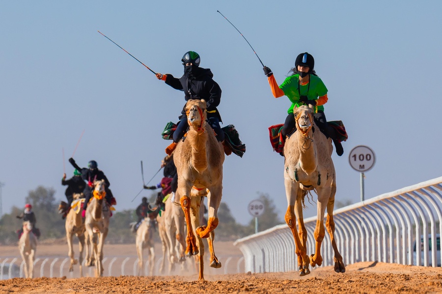 Asian NOCs invited to send athletes for camel racing training camp prior to Bahrain AYG