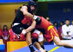 Hong Kong 2009 | Sanshou