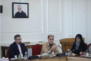 Iran NOC President promotes sports diplomacy in government meeting