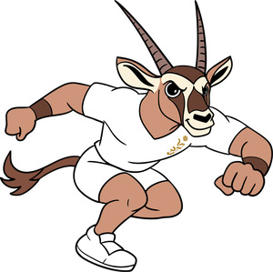 Sport Mascot Bahrain 2025