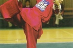  Busan 2002  | Wushu