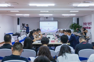 OCA, HAWGOC conduct second IT Audit Meeting