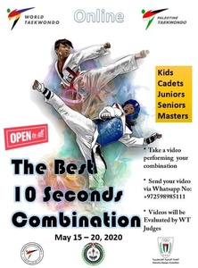 Palestine taekwondo launches 10-second challenge