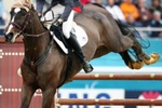  Doha 2006  | Equestrian