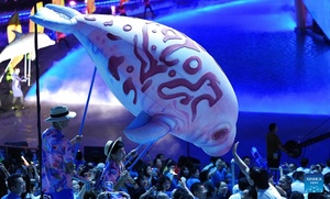Asian Beach Games opening ceremony showcases sparkling Sanya