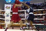  Vietnam 2009  | Boxing