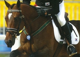 Busan 2002 | Equestrian