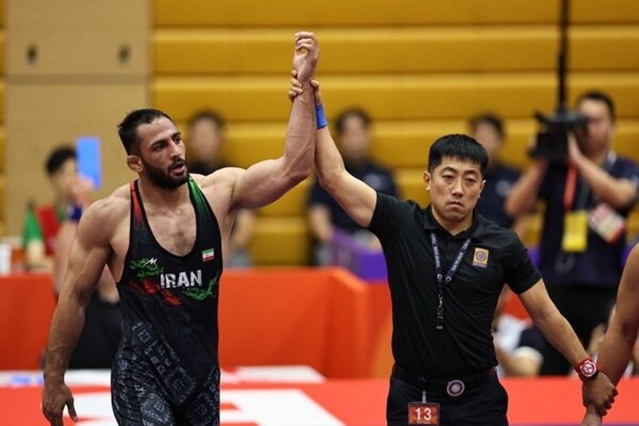 Iran’s Amirali Azarpira won wrestling gold on Saturday. (Photo: Tehran Times)