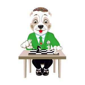 Sport Mascot Ashgabat 2017