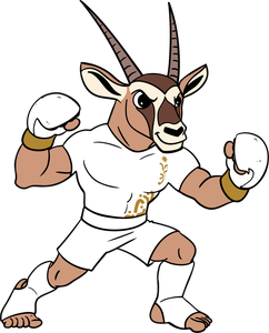 Sport Mascot Bahrain 2025