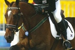  Busan 2002  | Equestrian