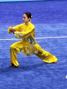 Wushu receives solid backing for Olympic inclusion