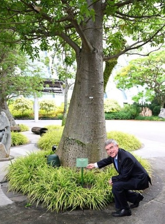 A tree dedication ceremony was held at Gardens by the Bay where an Adansonia digitata (Baobab Tree) was dedicated to Mr Bach.