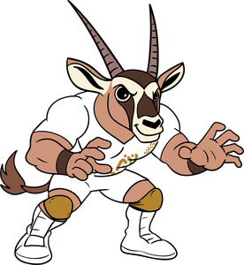 Sport Mascot Bahrain 2025