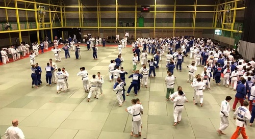 Uzbekistan NOC supports international judo training camp in Tashkent