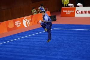 Liu Dewen captures wushu gold for China