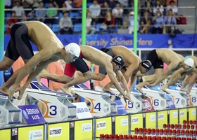 Incheon 2014 | Swimming