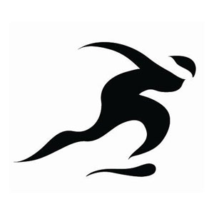 Sport pictogram Guangzhou 2010
