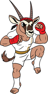 Sport Mascot Bahrain 2025