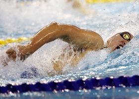 Incheon 2014 | Swimming