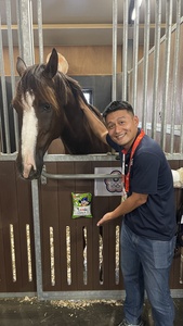 Kuai Kuai snack boosts Chinese Taipei equestrian team