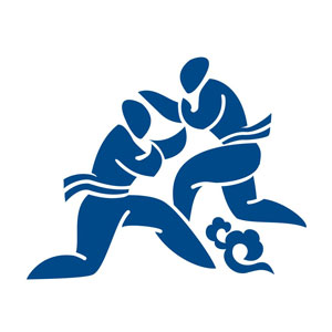 Sport pictogram Da Nang 2016