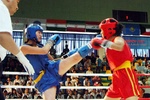  Vietnam 2009  | Kickboxing