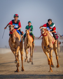 UAE grabs both gold medals as camel racing makes it AYG debut