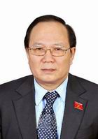 H.E. Hoang Tuan Anh